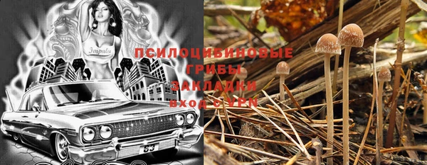 таблы Алексин
