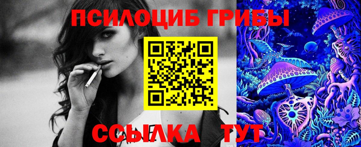 Псилоцибиновые грибы Psilocybine cubensis  Галлюциногенные грибы Psilocybe  Вход с VPN  Киржач 