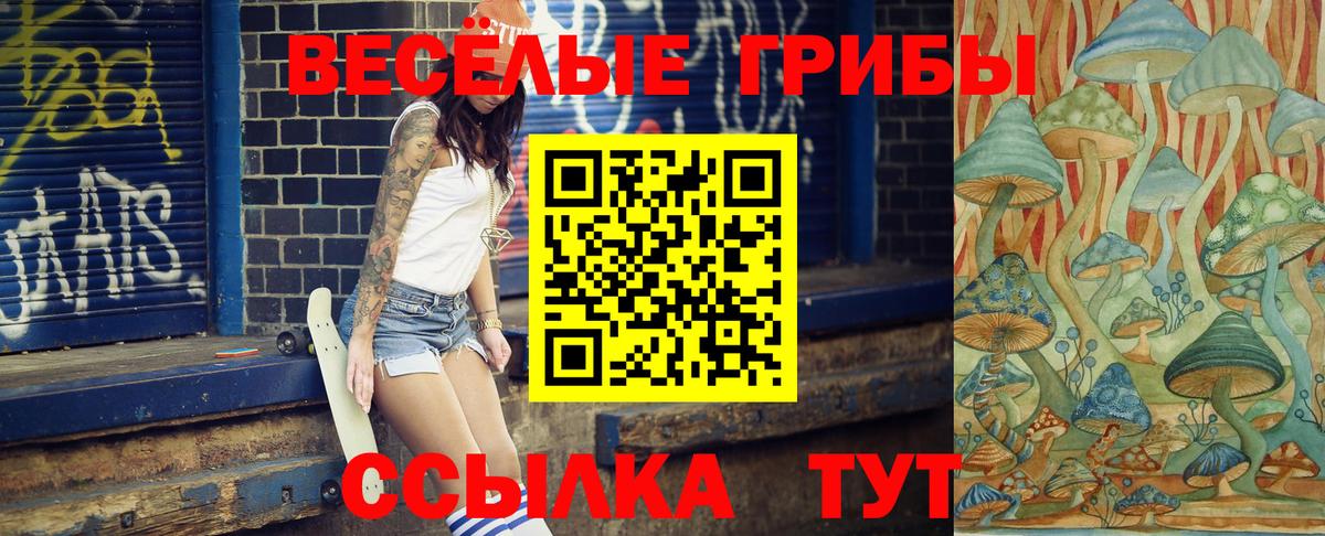 Псилоцибиновые грибы Psilocybe Киржач